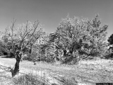 Provence - Photos Campagne