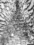 Borie - Photos Campagne