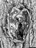 Visage 1 - Photos Campagne