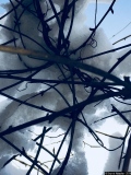 De branches et de lumière - Photos Divers