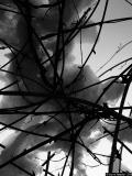 Poésie à l'encre - Photos Divers
