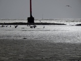 Le phare - Photos Eau