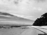 Dune et Pins - Photos Eau