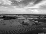 Herba maritima 2 - Photos Eau
