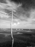 Piquet 2 - Photos Eau