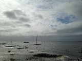 Le chemin - Photos Eau