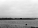 La grande barrière de corail - Photos Eau