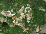 Vue de haut - Photos Mer