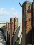 Les Dalton - Photos Mer