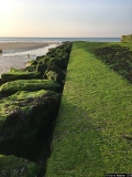 Horizon vert - Photos Mer