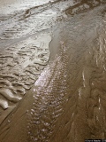 Traces - Photos Mer