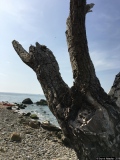 Mon petit doigt m'a dit - Photos Mer