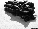 La truffe - Photos Mer