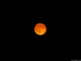 La pupille d'or - Photos Soleil Lune